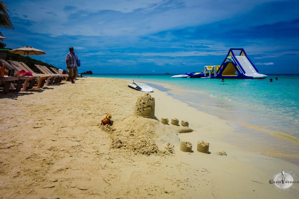 T-Chat fait des pâtés. T-Chat fait des pâtés.