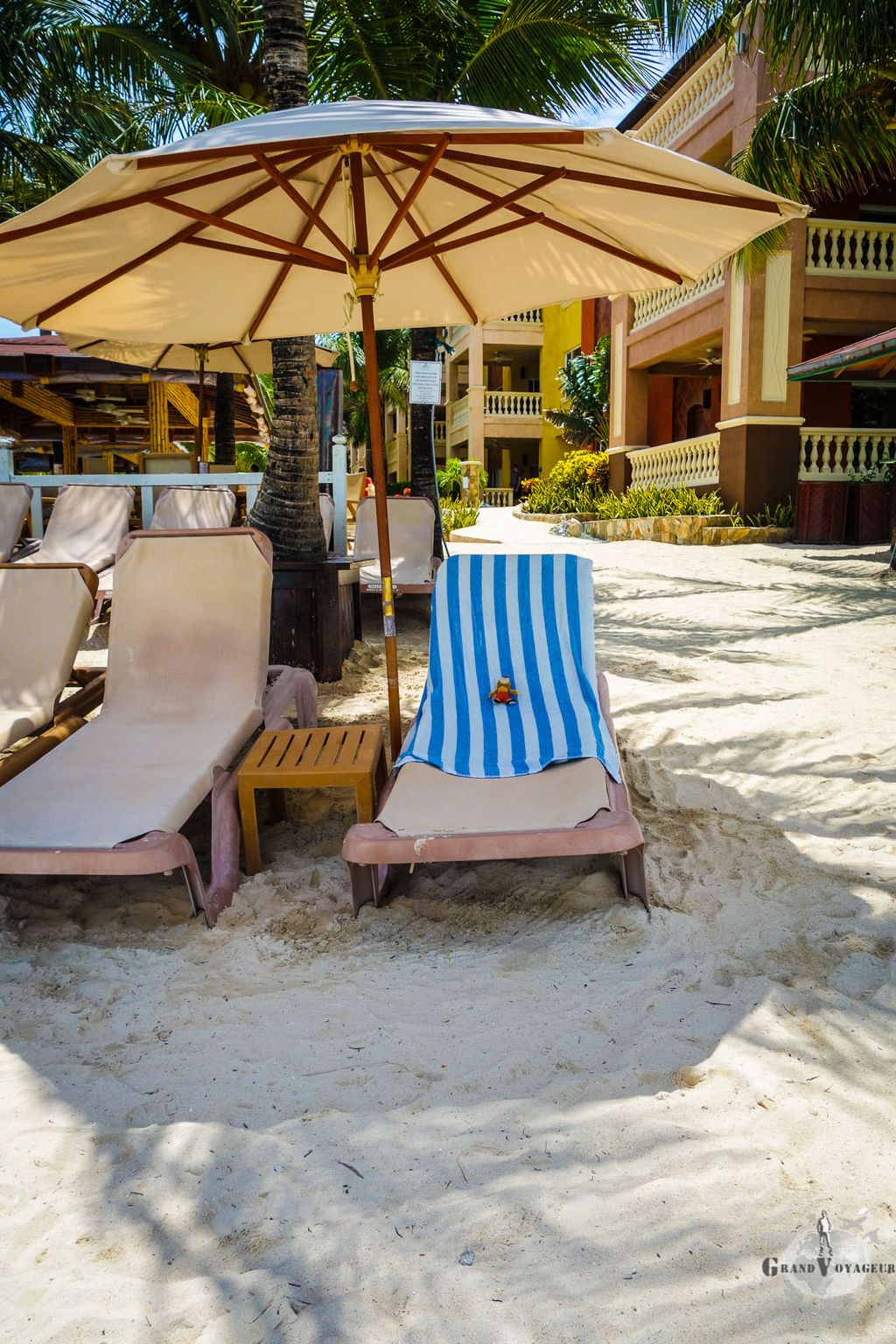 T-Chat fait la sieste. T-Chat fait la sieste.