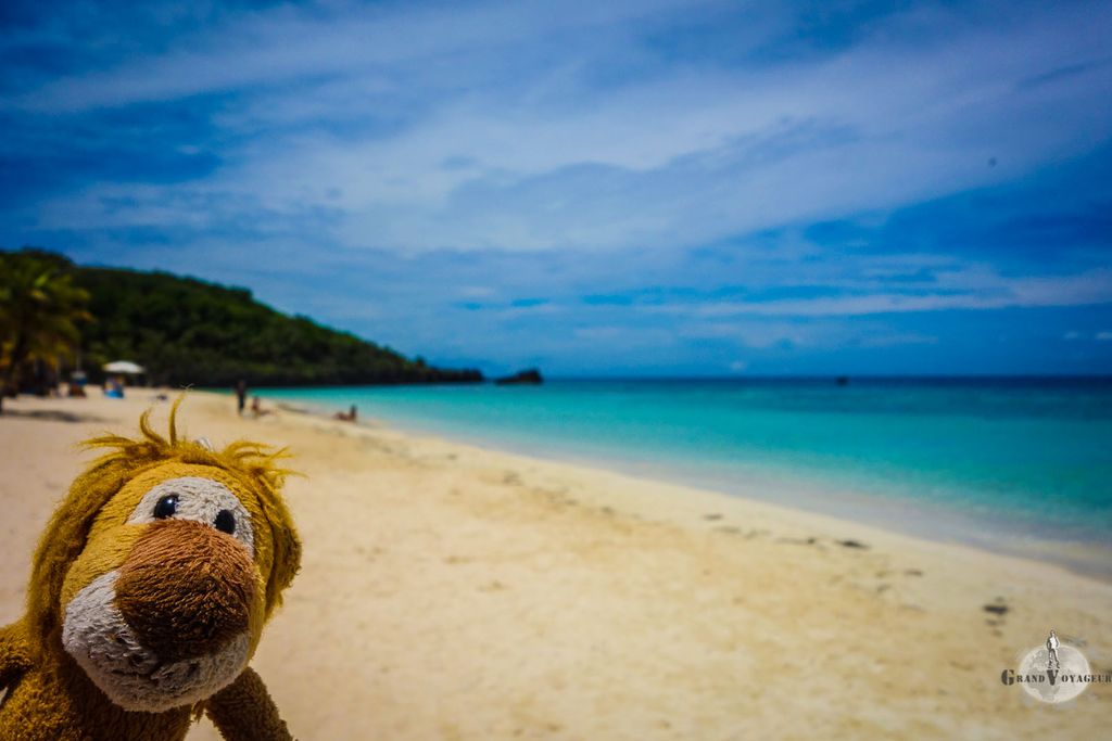 T-Chat à la page (oh non, encore du turquoise !) T-Chat à la page (oh non, encore du turquoise !)