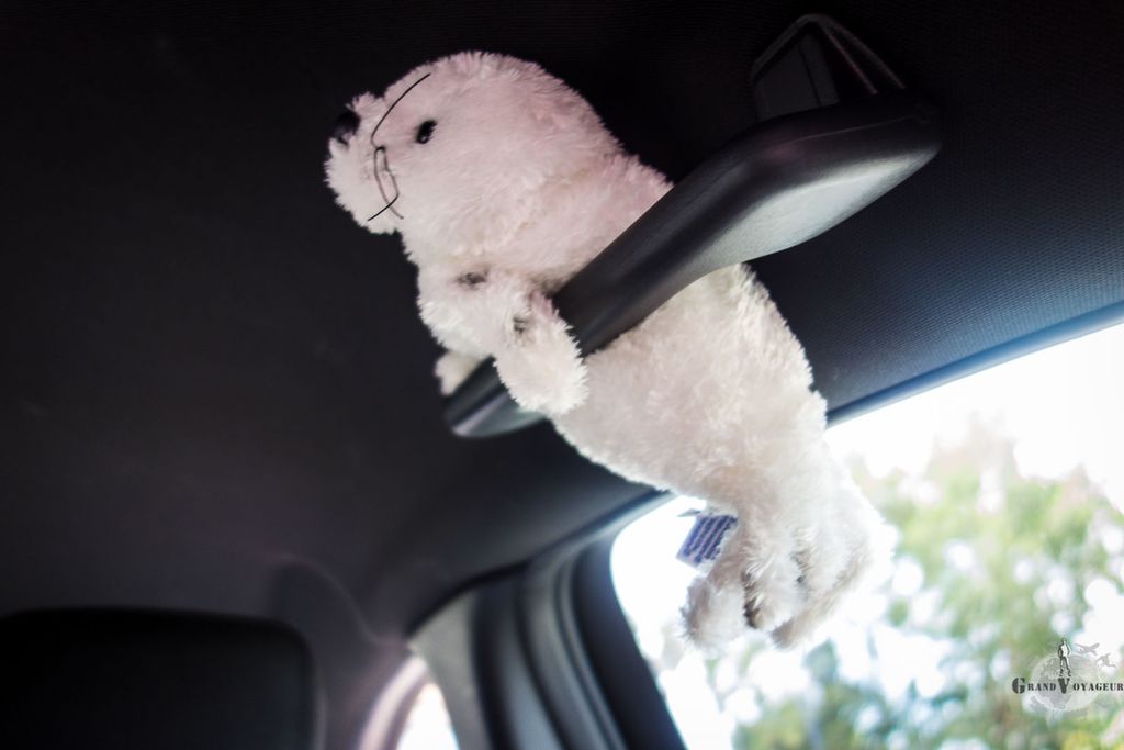 JB, quant à lui a trouvé son coin. JB, quant à lui a trouvé son coin.