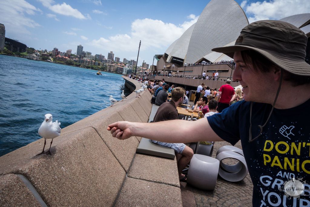 Sylvain, à peine arrivé, essaie déjà de se faire accepter par les locaux. Sylvain, à peine arrivé, essaie déjà de se faire accepter par les locaux.