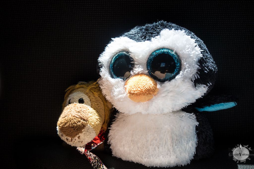 T-Chat et Ping prêts à l'aventure. T-Chat et Ping prêts à l'aventure.