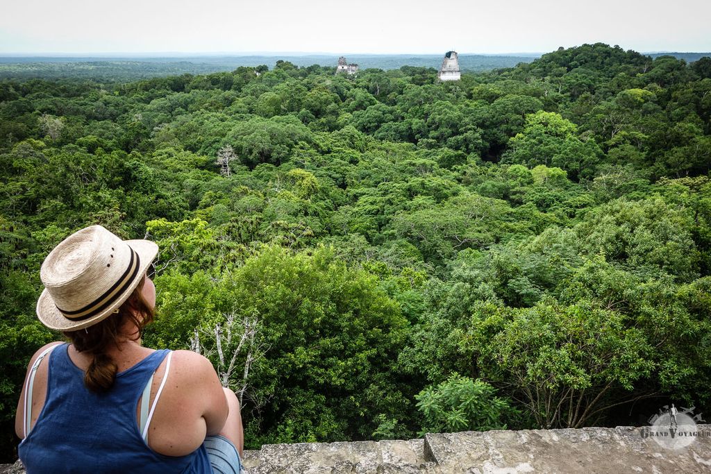 Vue imprenable depuis le sommet du Temple IV. Mémorable ! Vue imprenable depuis le sommet du Temple IV. Mémorable !