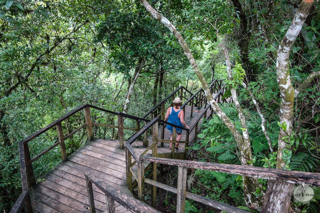 On descend du temple IV à l'aide de cette grande rampe en bois. On descend du temple IV à l'aide de cette grande rampe en bois.