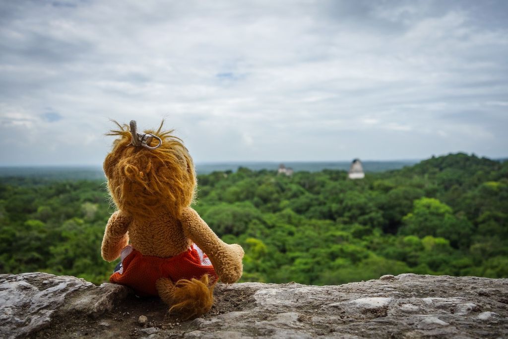T-Chat se sent des poussées de Zen et se fait une pause méditation. Ôôôôôôôm. T-Chat se sent des poussées de Zen et se fait une pause méditation. Ôôôôôôôm.