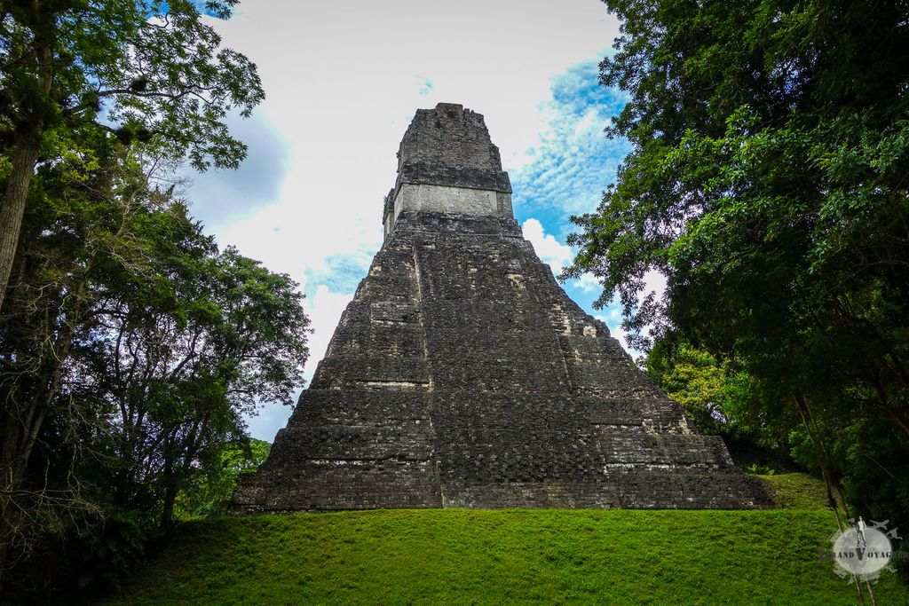 Image for Tikal : entre temples mayas et animaux de tout poil (et plume)