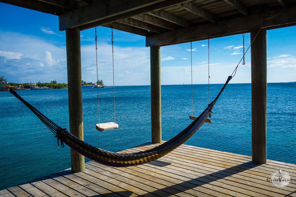 Un hamac pour la sieste et des balançoires pour se jeter à l'eau quand il fait trop chaud ? Cool ! Un hamac pour la sieste et des balançoires pour se jeter à l'eau quand il fait trop chaud ? Cool !