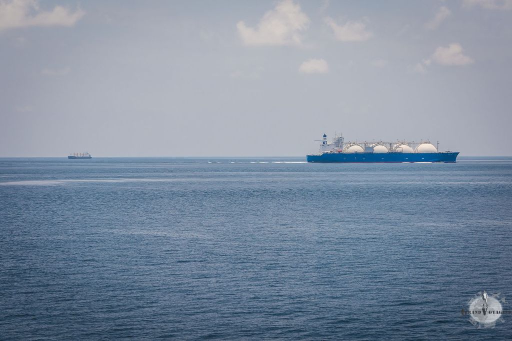 Un port-conteneurs chimique (aussi appelé chimiquier). Je sais pas vous, mais moi je préfère être sur un cargo rempli de boîtes que sur un machin bulbé rempli d'on ne sait quelle substance.