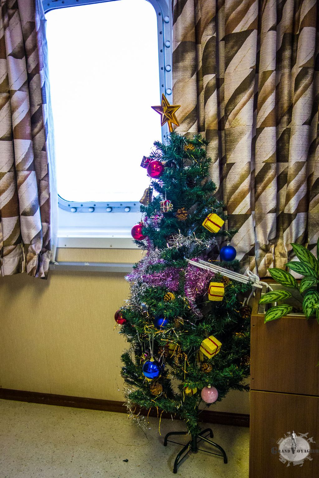 ... et comme c'est bientôt Noël, on a même droit à un vrai-faux sapin en plastique ! ... et comme c'est bientôt Noël, on a même droit à un vrai-faux sapin en plastique !