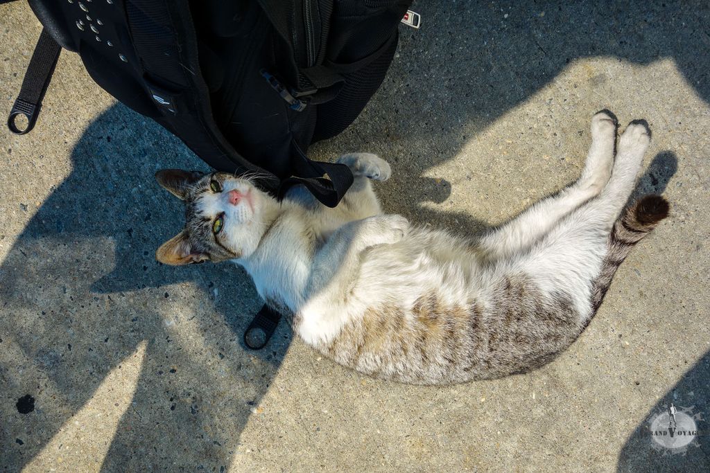 Très très méchant !